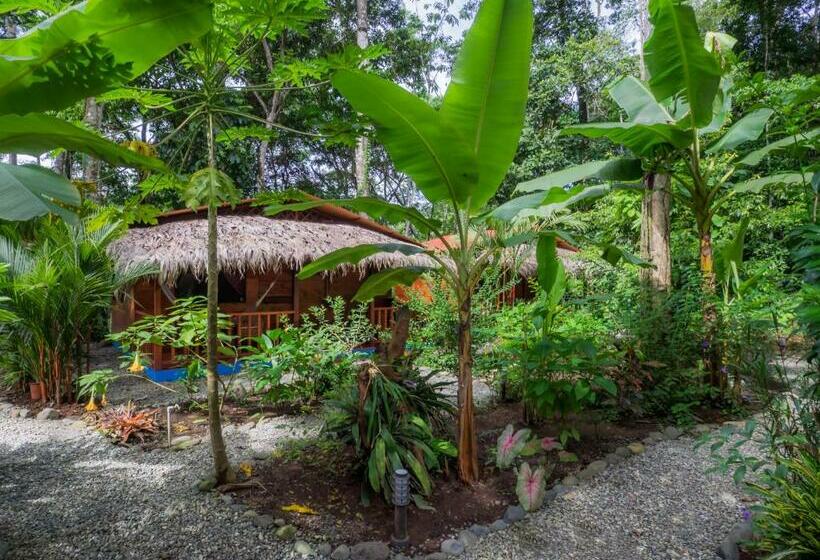Бунгало Superior, Casitas Las Flores