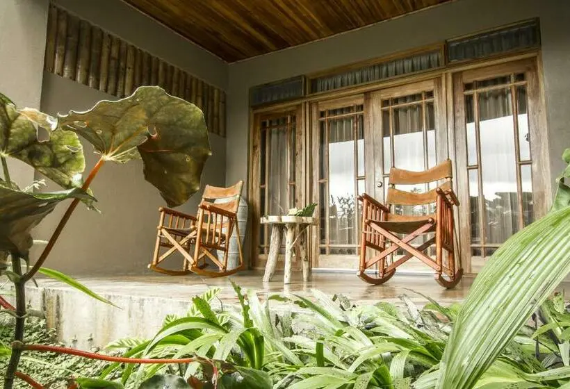 سوییت لوکس, Lost Iguana Resort And Spa