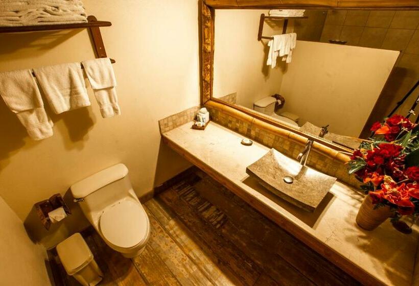 스탠다드 룸, Lost Iguana Resort And Spa