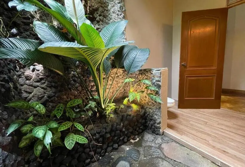 ویلای 1 خوابه, Lost Iguana Resort And Spa