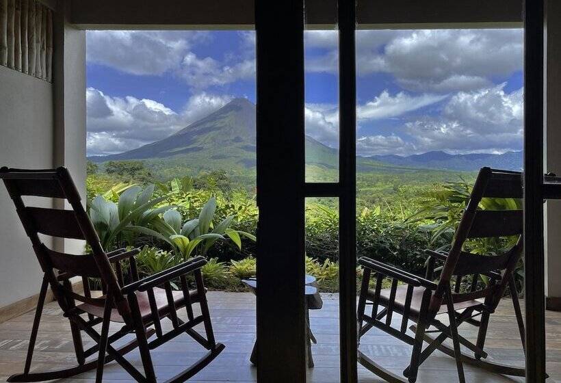 스탠다드 룸, Lost Iguana Resort And Spa