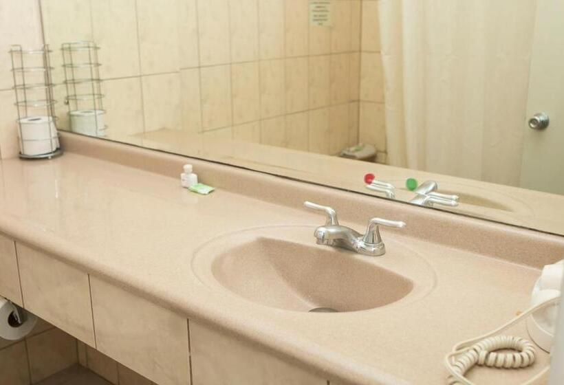 标准三人间, Novo