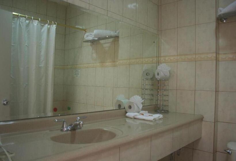 标准三人间, Novo