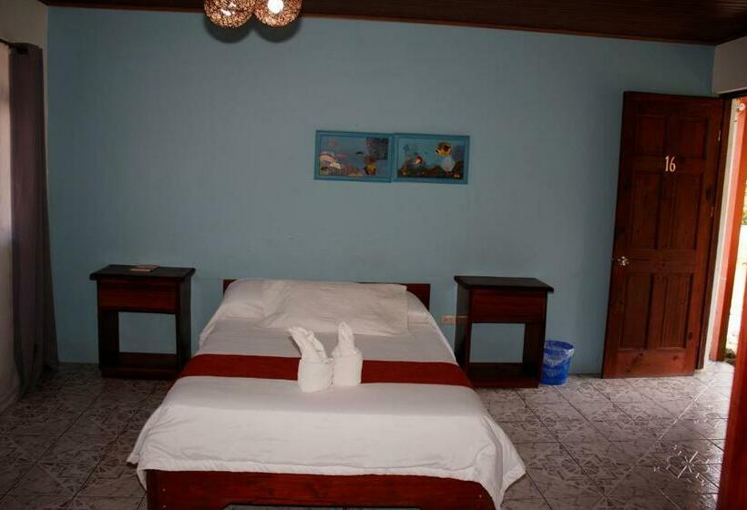 デラックスルーム, Samoa Del Sur