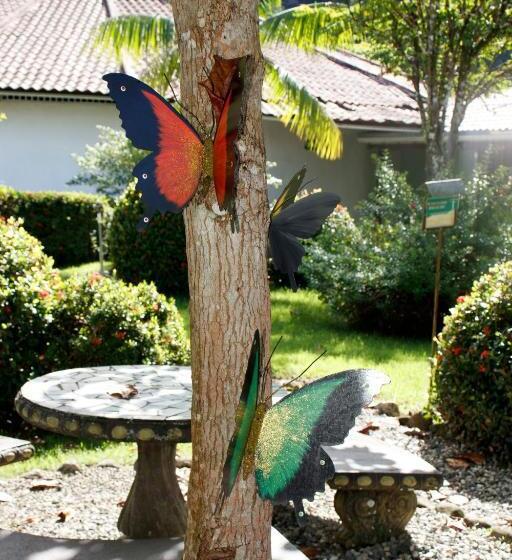 スタンダード４人部屋, Samoa Del Sur