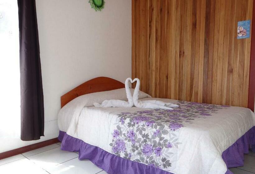 غرفة قياسية, & Hostel Sloth Backpackers