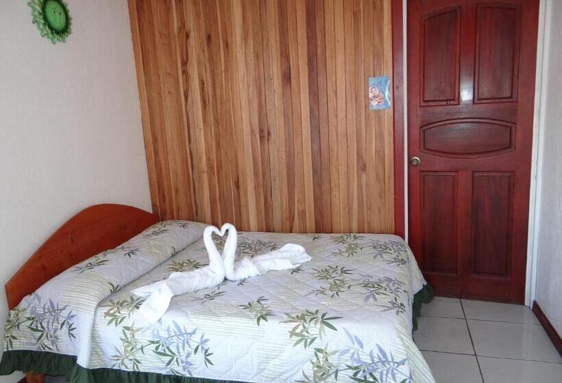 غرفة قياسية, & Hostel Sloth Backpackers