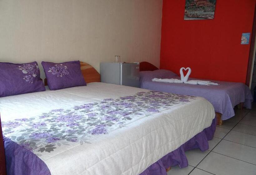 חדר סטנדרט, & Hostel Sloth Backpackers