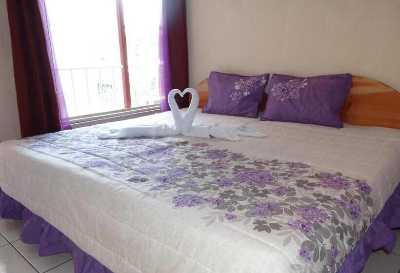 غرفة قياسية, & Hostel Sloth Backpackers