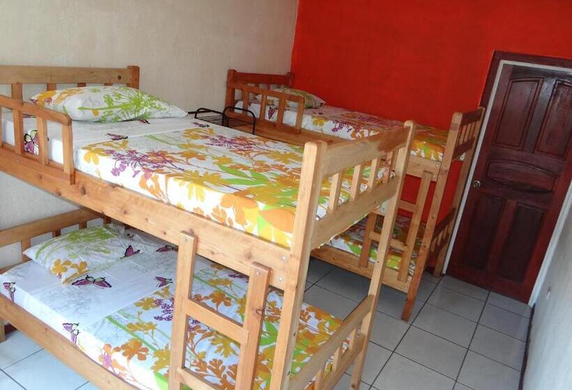 Кровать в Общей Комнате, & Hostel Sloth Backpackers