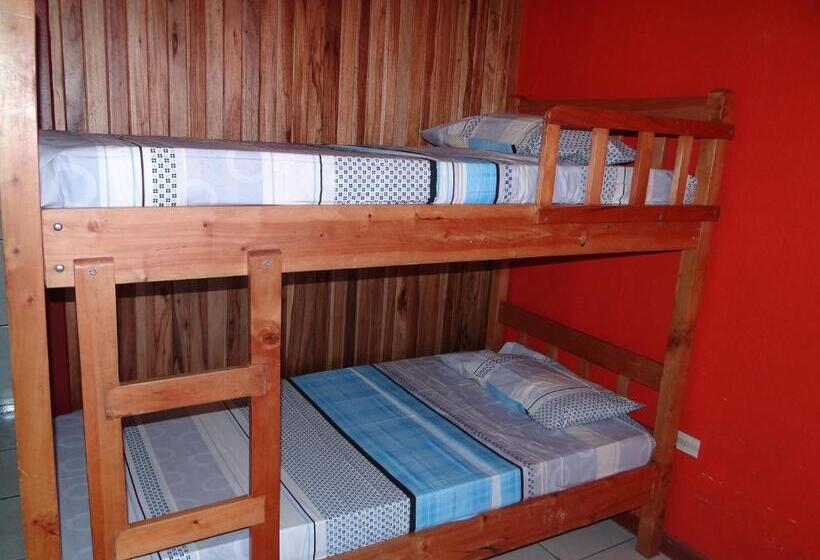 מיטה בחדר משותף, & Hostel Sloth Backpackers