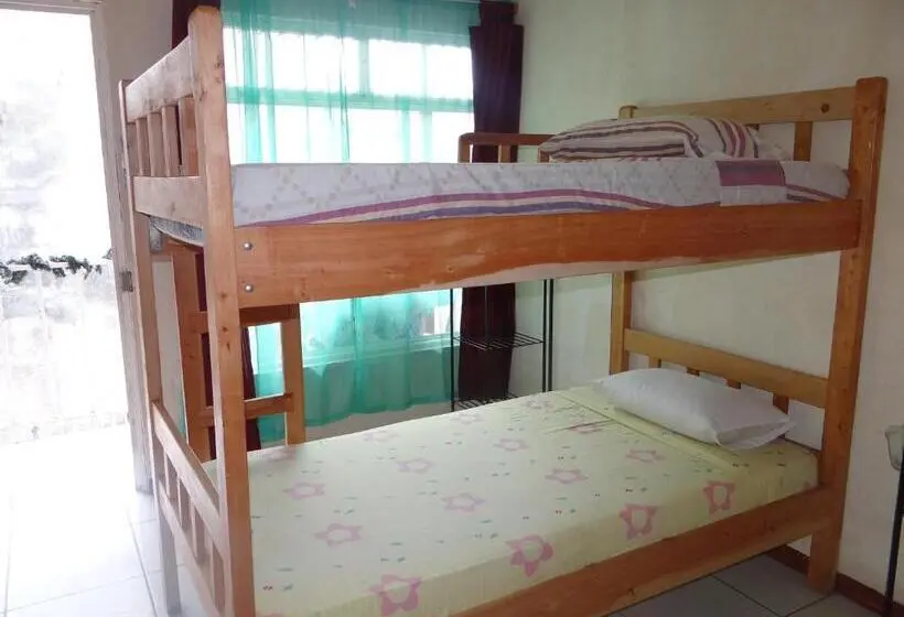 ルームシェアのワンベッド, & Hostel Sloth Backpackers