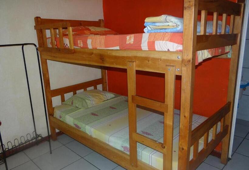 מיטה בחדר משותף, & Hostel Sloth Backpackers