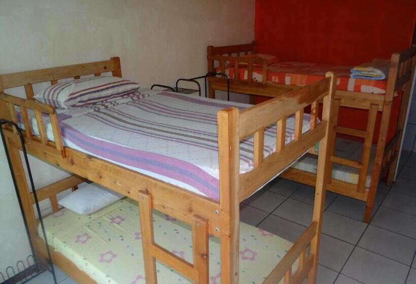 سرير فى غرفة مشتركه, & Hostel Sloth Backpackers