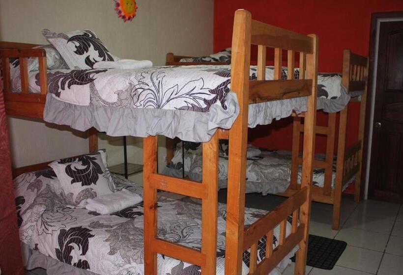 מיטה בחדר משותף, & Hostel Sloth Backpackers