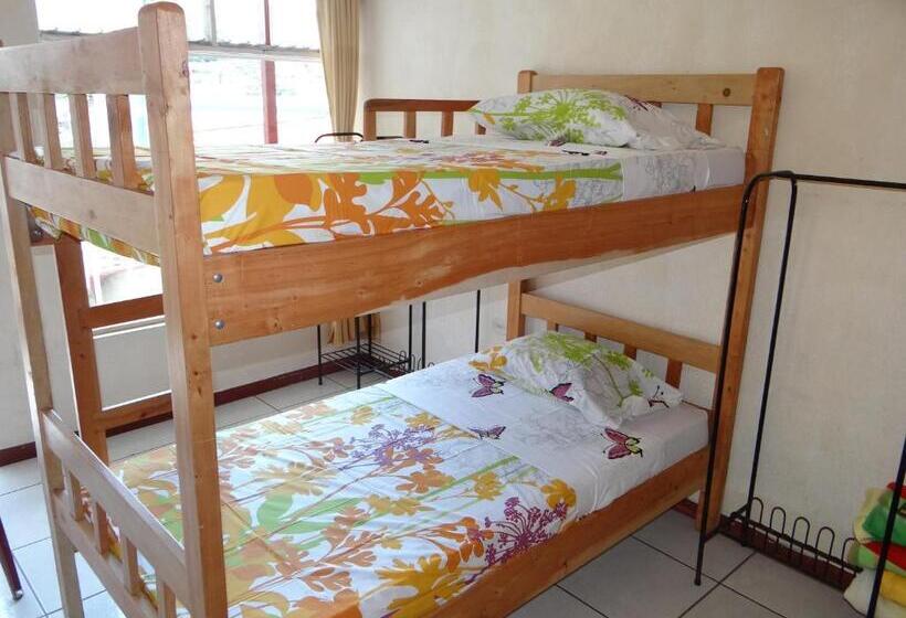Кровать в Общей Комнате, & Hostel Sloth Backpackers