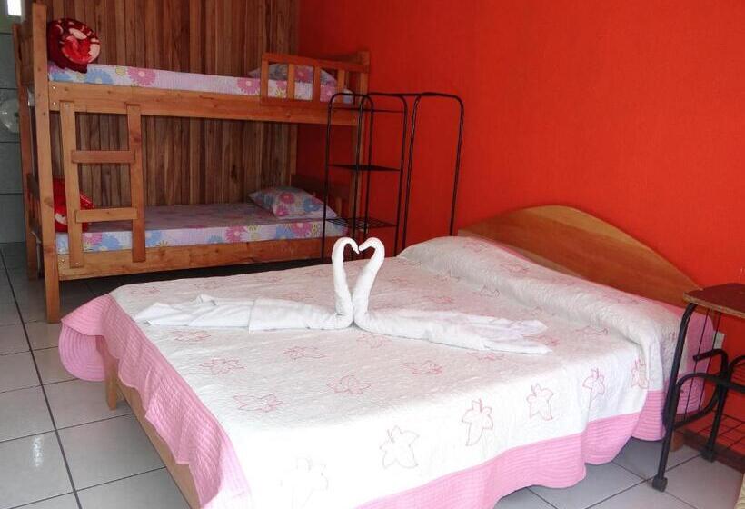 غرفة عائلية, & Hostel Sloth Backpackers