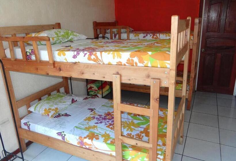 غرفة عائلية, & Hostel Sloth Backpackers