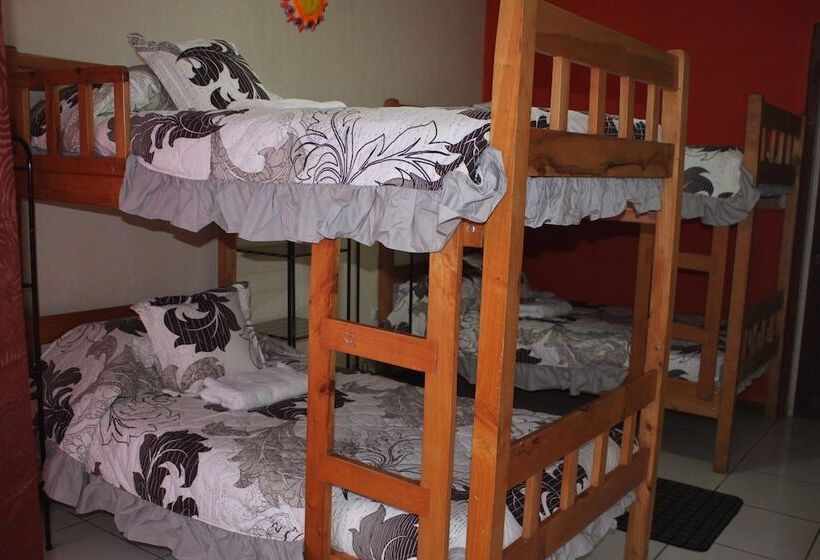 מיטה בחדר משותף, & Hostel Sloth Backpackers