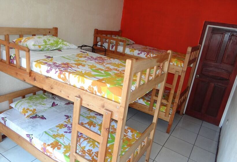 מיטה בחדר משותף, & Hostel Sloth Backpackers