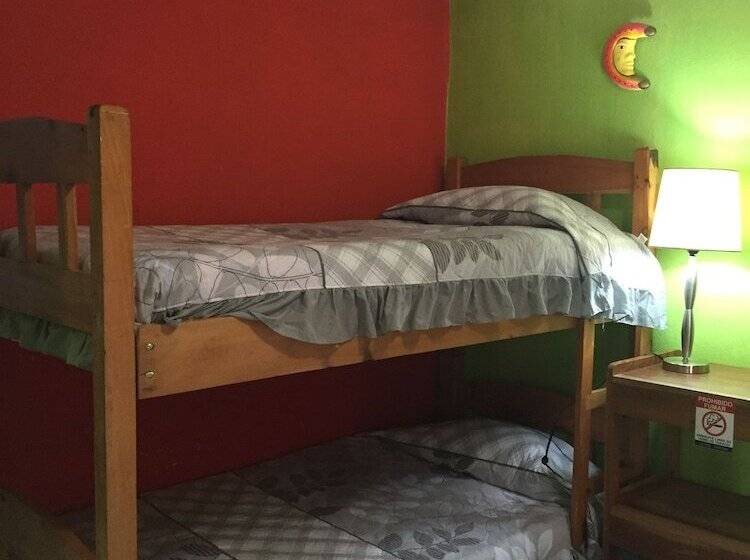 Кровать в Общей Комнате, & Hostel Sloth Backpackers