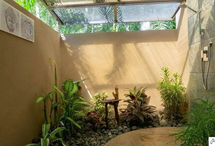 デラックスバンガロー, Casa Buenavista Adults Only