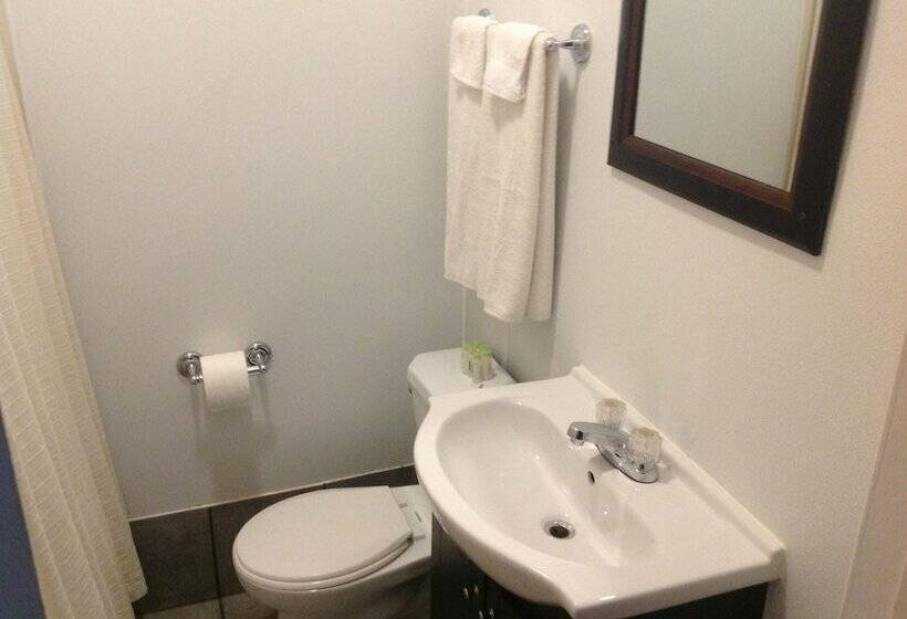 标准间带双人床, The Algonquin