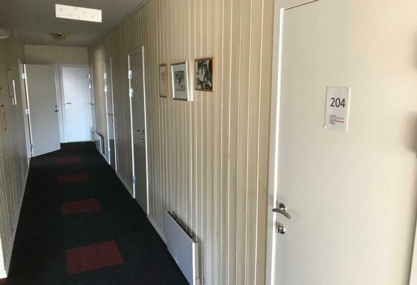 이코노미 싱글 룸, Bardufosstun