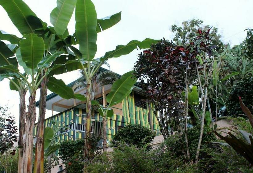 غرفة سوبيريور, Big Bamboo De Uvita