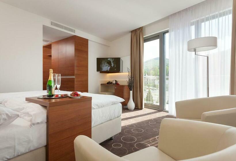 スタンダードシングルルーム, Wellness Hotel Panorama