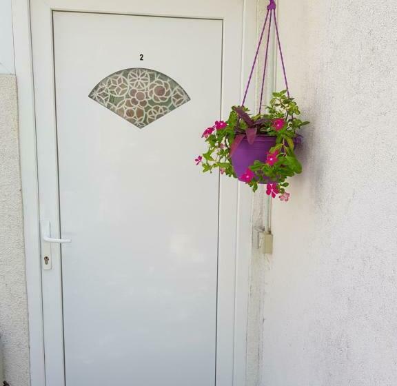 スタンダードルーム, Stipan Studio & Room