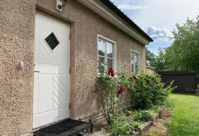 带1个卧室的公寓, Wictoria