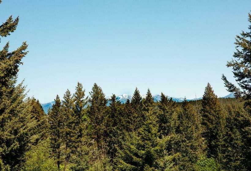 غرفة سوبيريور, Timbers Motel