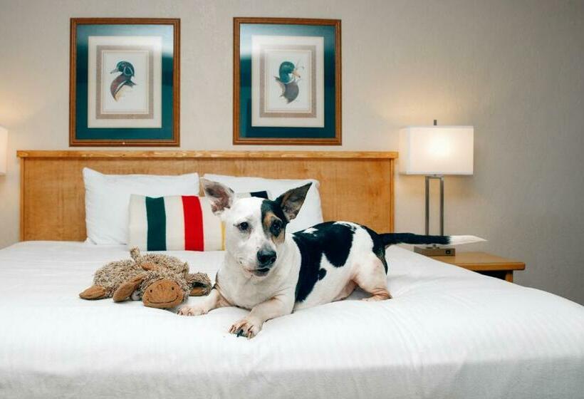 اتاق استاندارد با تخت بزرگ, Timbers Motel