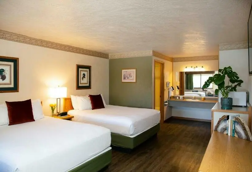 スタンダードルーム, Timbers Motel