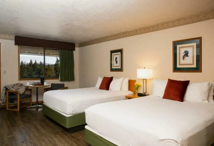 スーペリアールーム, Timbers Motel