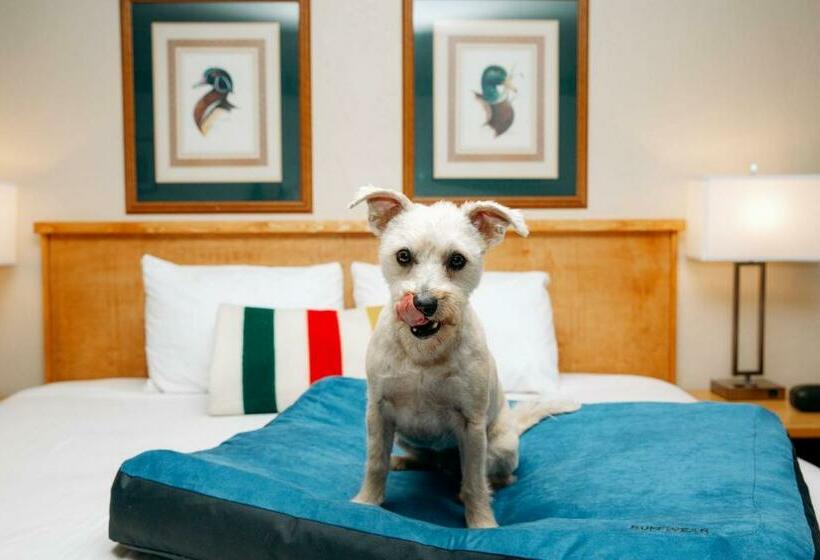 غرفة قياسية, Timbers Motel