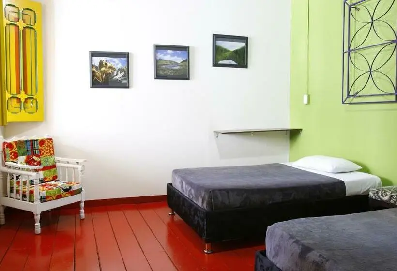 スタンダードルーム, Golden Frog Manizales