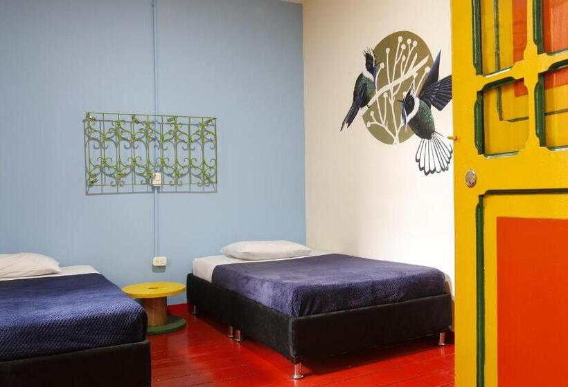 Номер Стандарт, Golden Frog Manizales