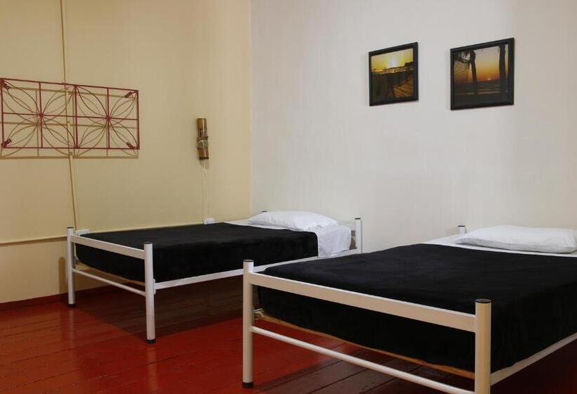 Номер Стандарт, Golden Frog Manizales