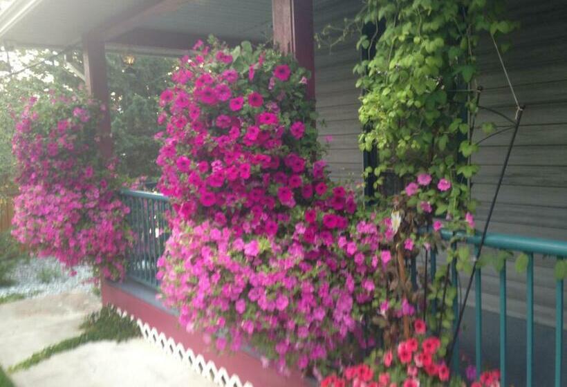 デラックススイート, Eagle S Nest B&b