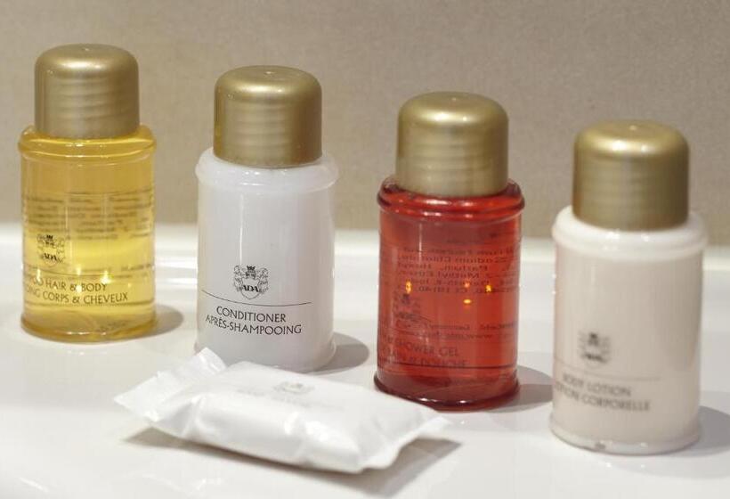 غرفة قياسية مطلة على المدينة, No. 377 House