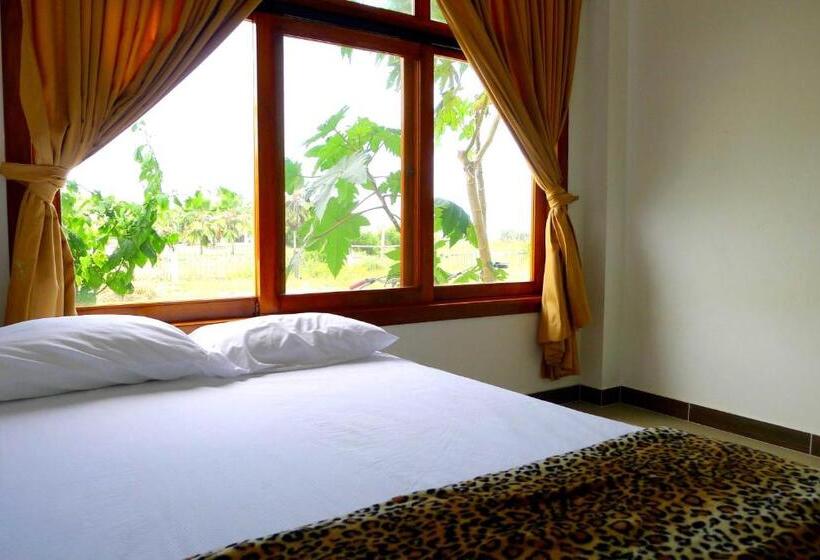 اتاق لوکس, Sotavento