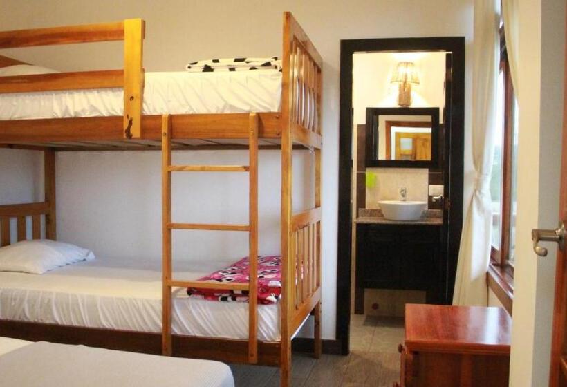 اتاق استاندارد چهار تخته با چشمانداز دریا, Sotavento