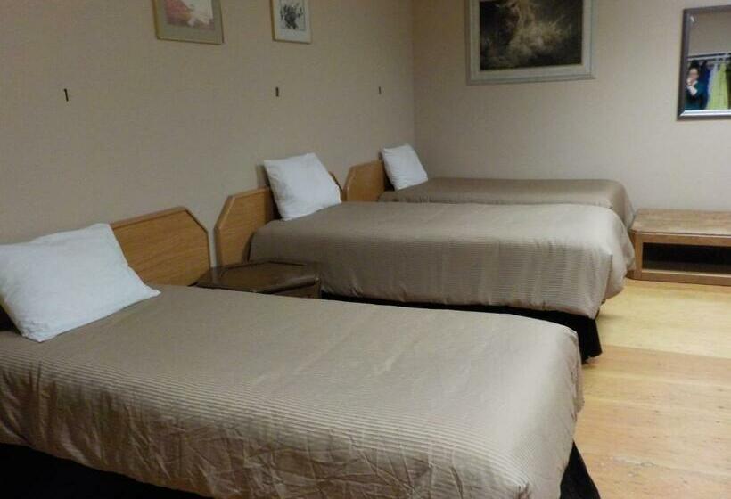 공동 객실, Vernon Hostel