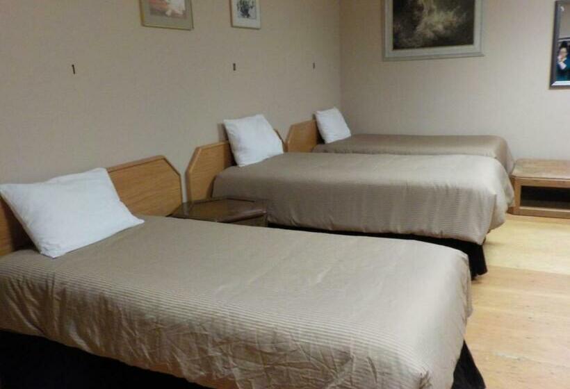 공동 객실, Vernon Hostel