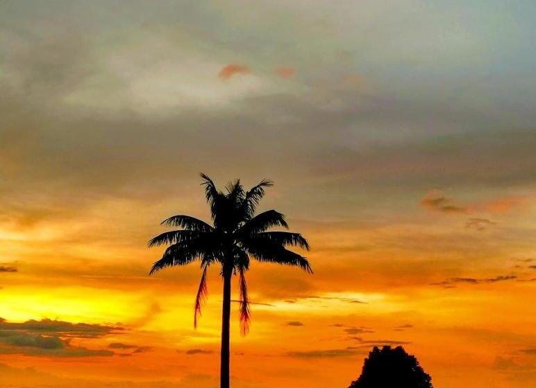 豪华套房, Casa Pachamama