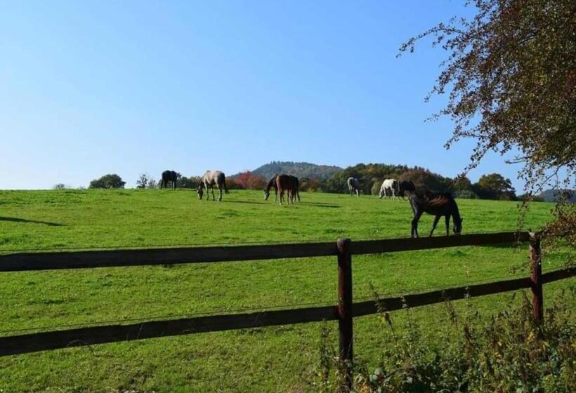 Номер Стандарт Вид на Озеро, Green Seeblick Hotel Am See