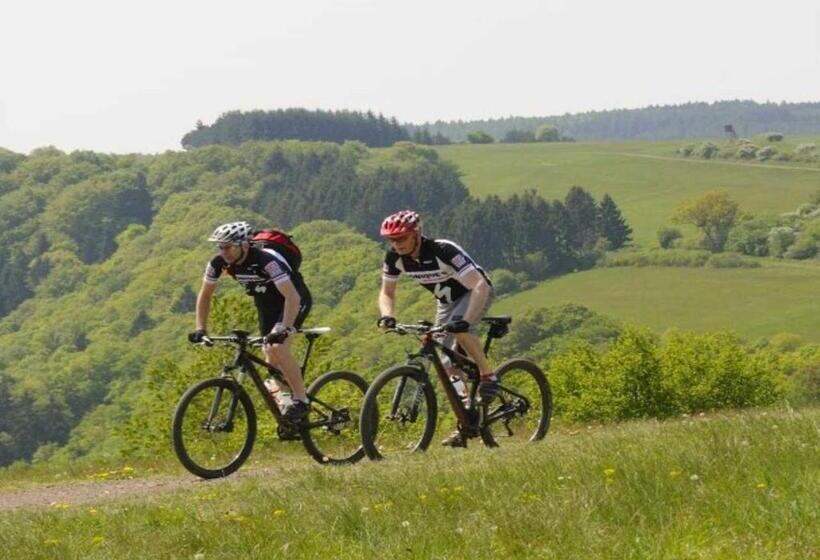 Номер Economy Индивидуальный, Green Seeblick Hotel Am See