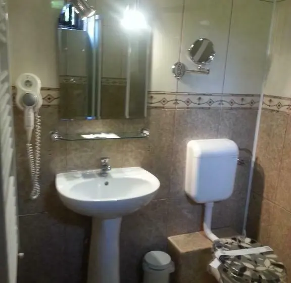 اتاق استاندارد یک نفره, Aramia